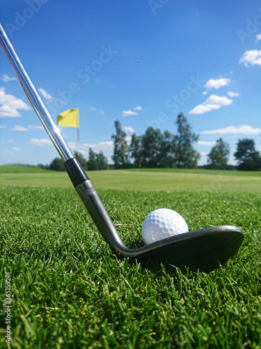 golf club and golf ball on a grassy golf course on a beautiful summer day