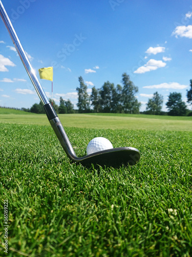 golf club and golf ball on a grassy golf course on a beautiful summer day