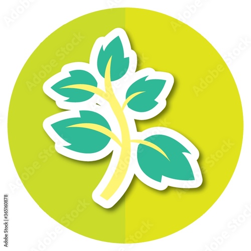leaves