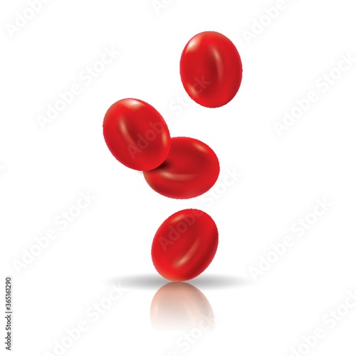 red blood cells