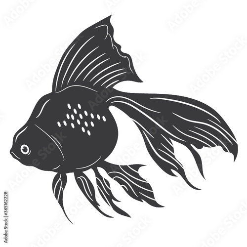 gold fish