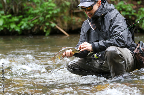 The fisherman carefully releases the fish back into the water