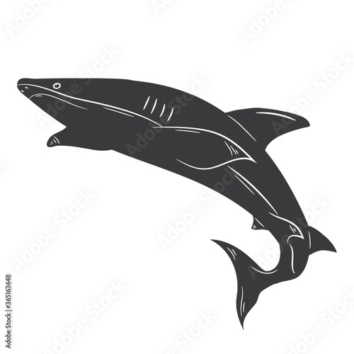 shark