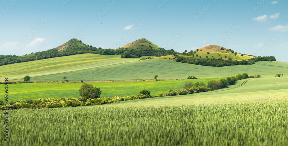 Hills and field of Ceske Stredohori, Czech Republic