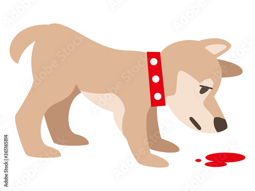 血の匂いを嗅ぐ犬