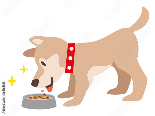 ドッグフードを食べる犬