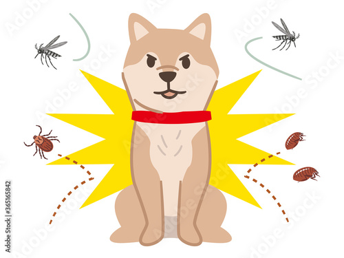 害虫を跳ね除ける犬