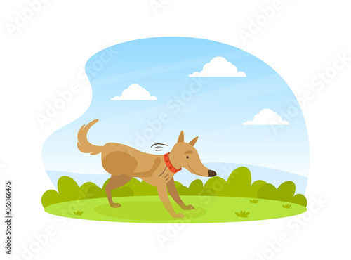 Cute Dog Scratching its Paw on Lawn in Backyard on Beautiful Summer Landscape Flat Vector Illustration