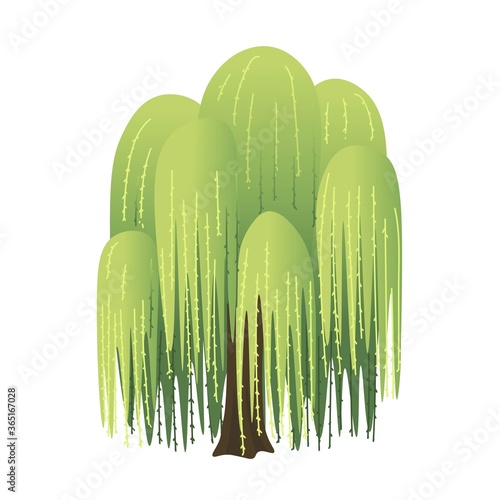 Willow cartoon tree. Vector illustration