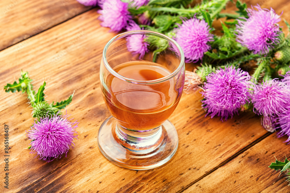 Milk thistle in herbal medicine Milk thistle in herbal medicine