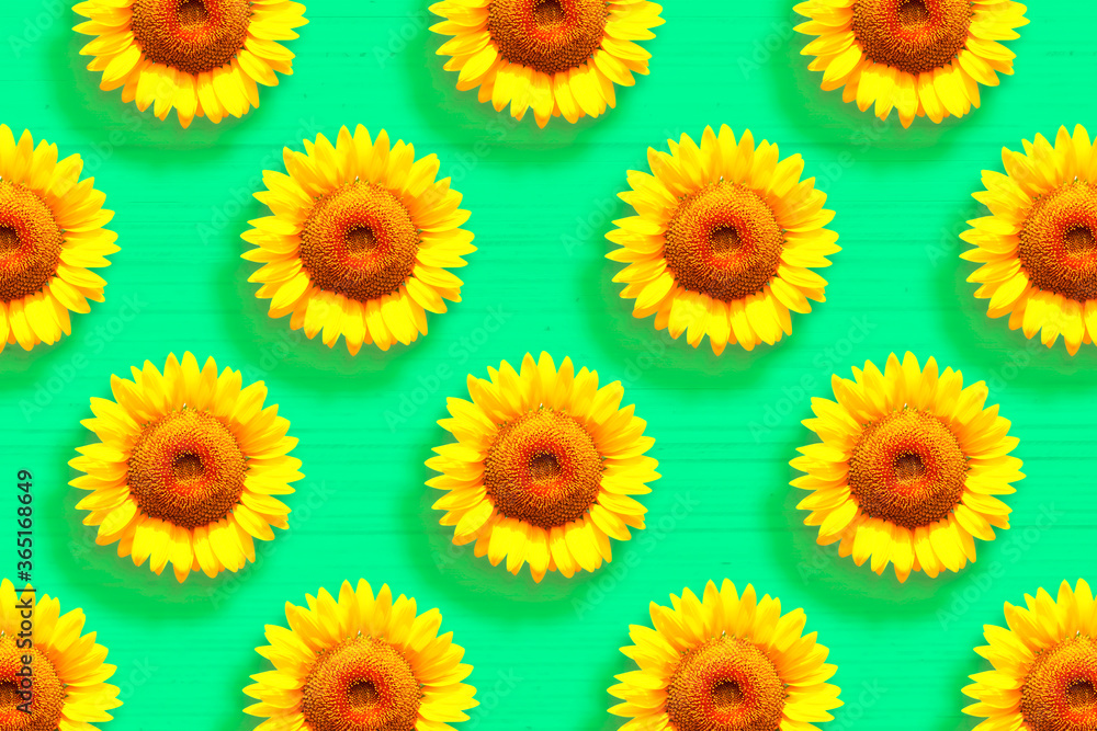 Sunflower pattern abstract green back 5454 Sunflower pattern abstract green back 5454