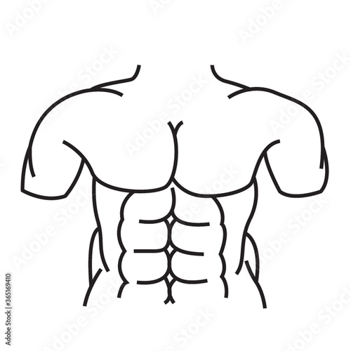human abdomen