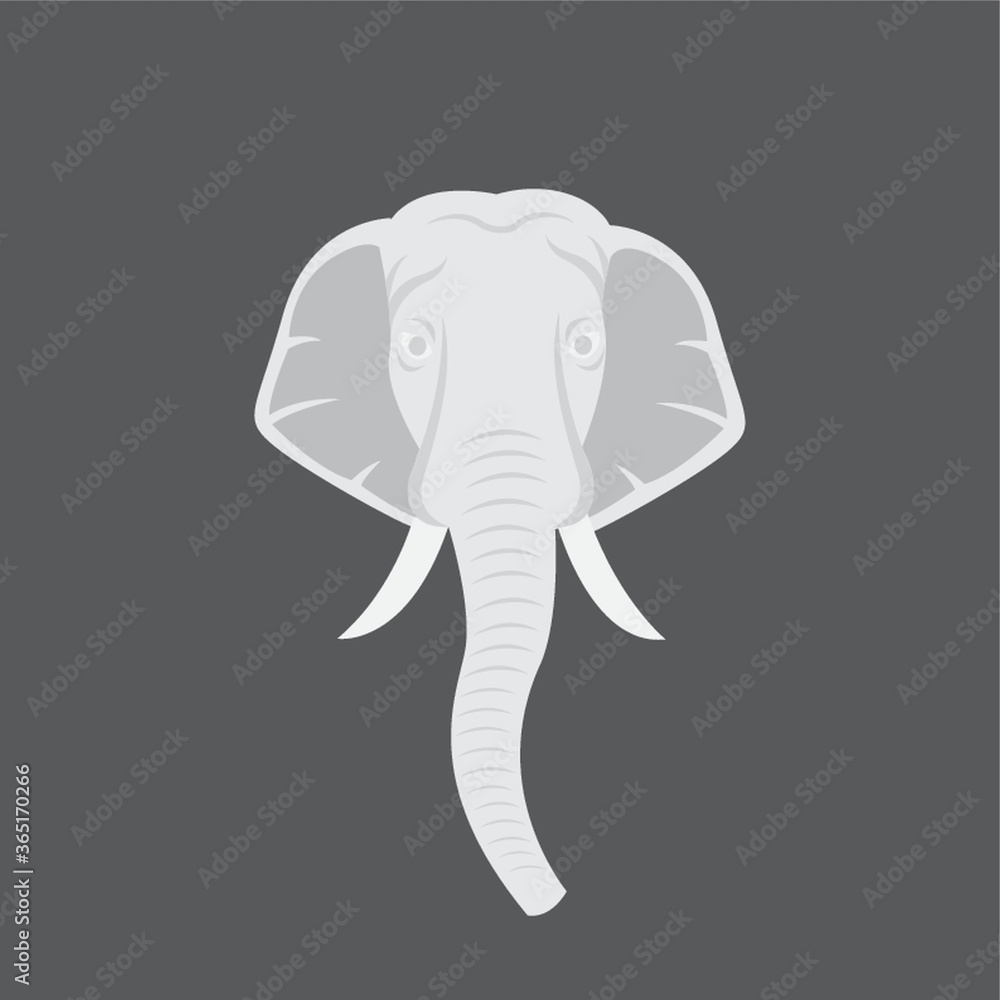 elephant face elephant face