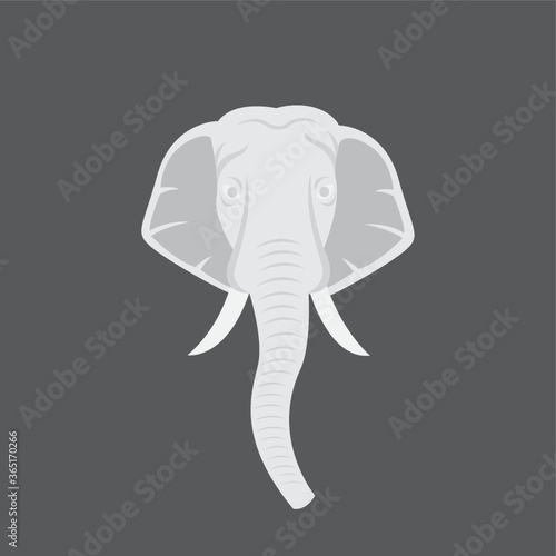 elephant face