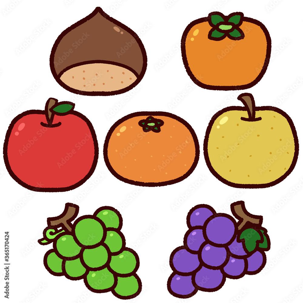 シンプルな秋の果物 イラストセット Stock Illustration Adobe Stock