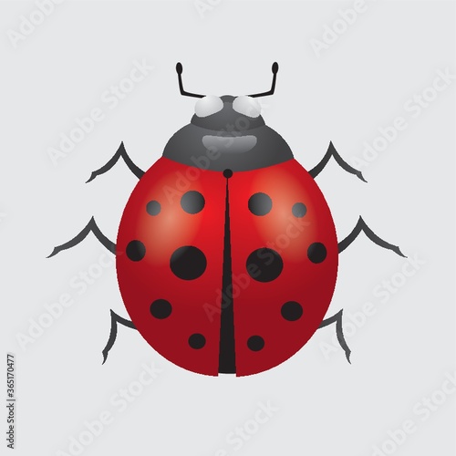 ladybug © captainvector