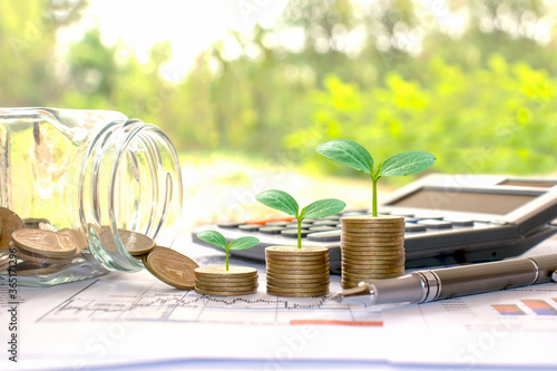 Plant small green trees on coins and calculators, financial accounting concepts and save money.
