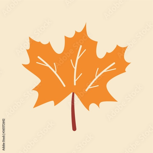 maple leaf