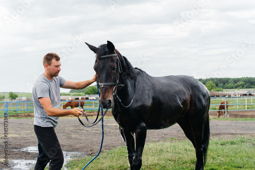 A young man washes a thoroughbred horse with a hose on a summer day at the ranch. Animal husbandry, and horse breeding