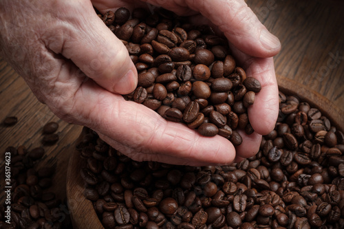 Hands of an old woman pour grain of fresh aromatic dark coffee. Selective focus on coffee beans in hands. Still life of the coffee beans harvest. Coffee grains in hands on a wooden background. 