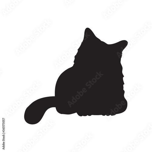 silhouette of a cat