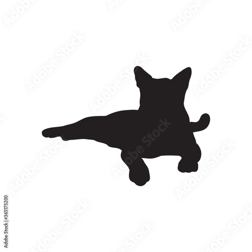 silhouette of a cat