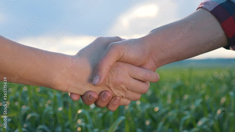 Teamwork. Handshake close-up. A man and a woman, farmers, shake hands. The path to success, collaboration, and victory. The concept of agricultural business Teamwork. Handshake close-up. A man and a woman, farmers, shake hands. The path to success, collaboration, and victory. The concept of agricultural business