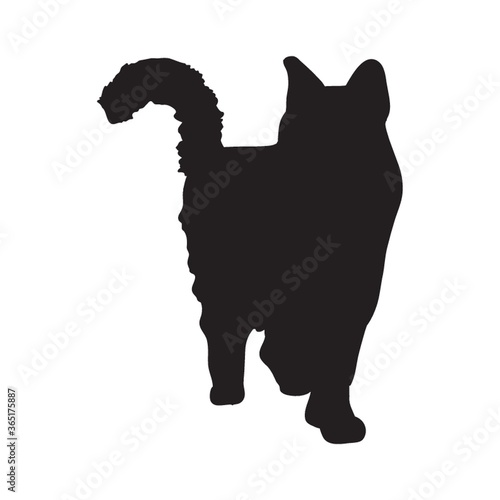 silhouette of a cat