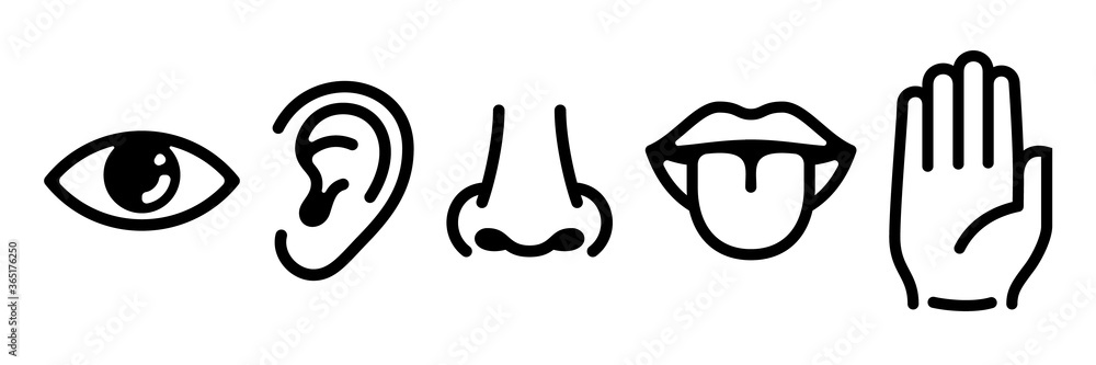Graphic designation of the five main human senses. Graphic designation of the five main human senses.