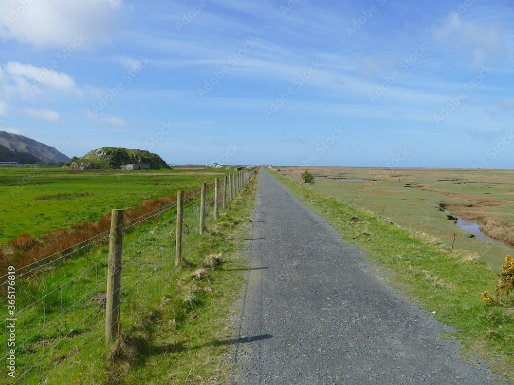 Tarmac footpath crossing a grassy marshy plain with mountains and blue sky in the background near Fairbourne Barmouth Wales