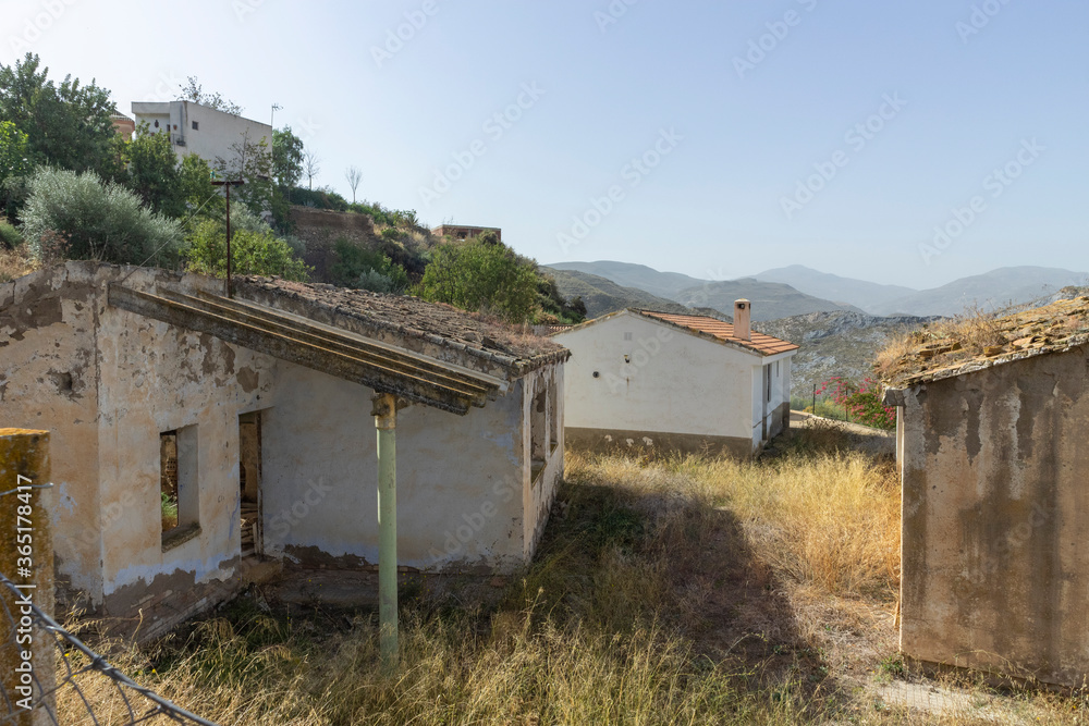 abandoned houses with vegetation on the ground abandoned houses with vegetation on the ground