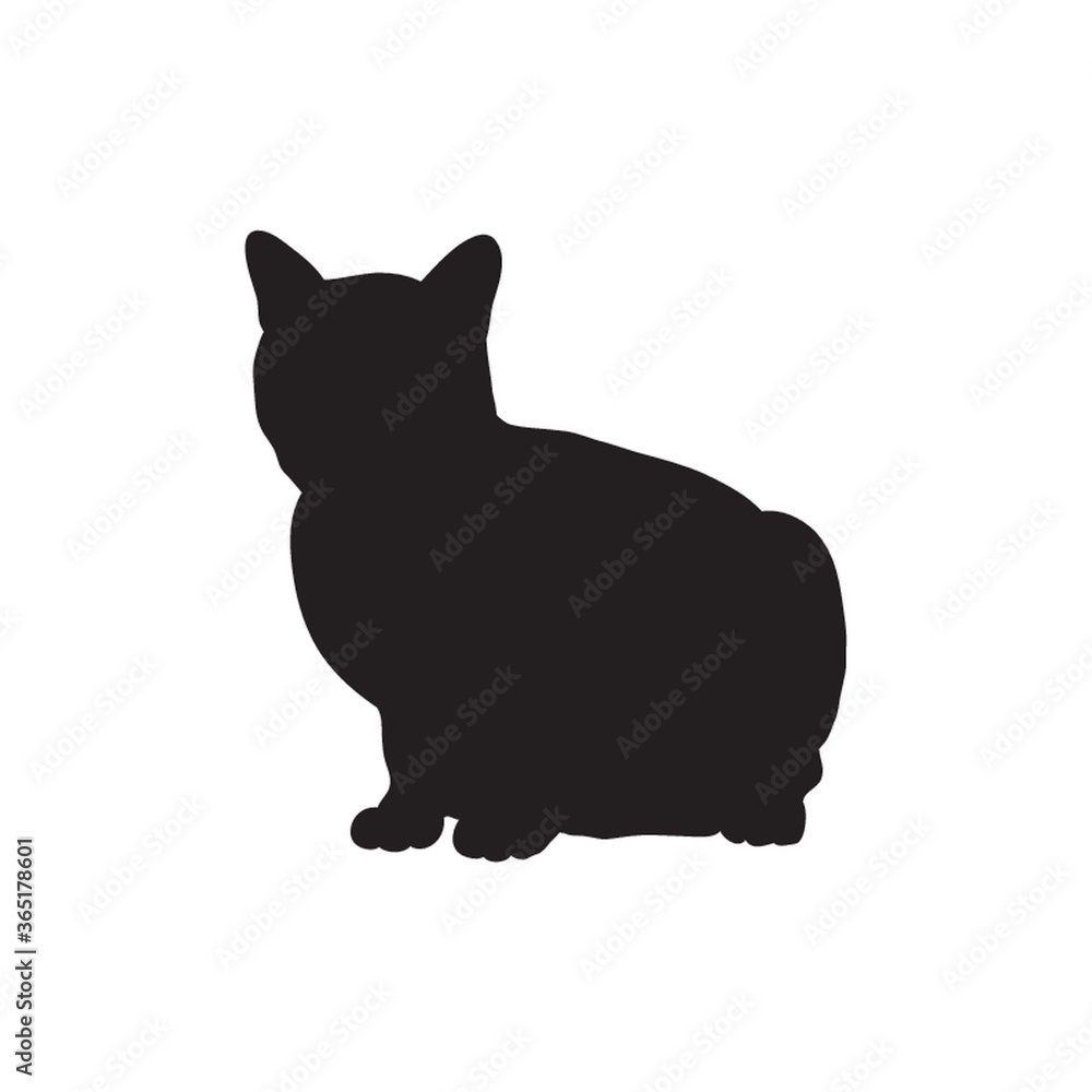 silhouette of a cat silhouette of a cat