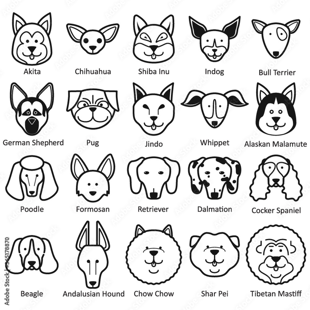 collection of dog faces