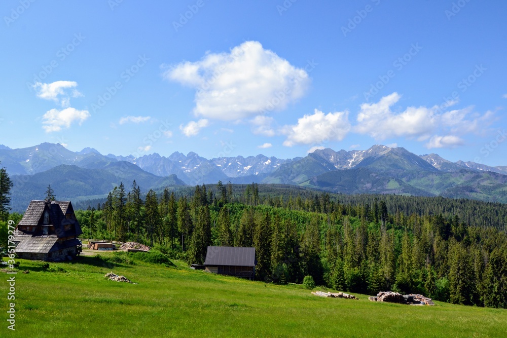 Tatra Mountains panorama seen from viewing point near Bukowina Tatrzanska. Gorgeous mountain range with high rocky peaks and green farming fields in sunny summer day, Podhale, Poland 