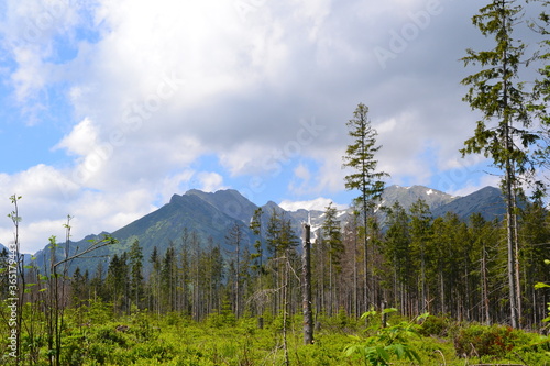 A mountain view from the green trail to the Rusinowa glade (Rusinowa Polana) on Tatra mountains, Poland. View with trees broken by strong winds