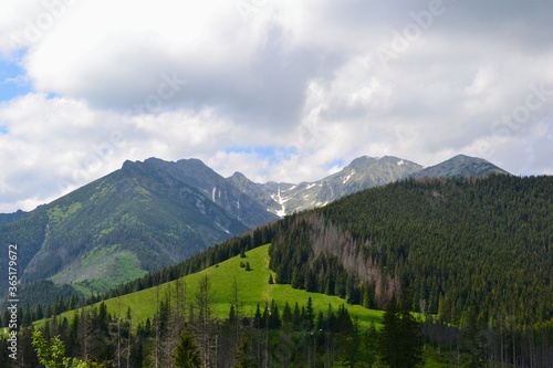 Beautiful view with mountain peaks and green meadow - Rusinowa glade seen from the green trail to the Rusinowa glade (Rusinowa Polana) on Tatra mountains, Poland
