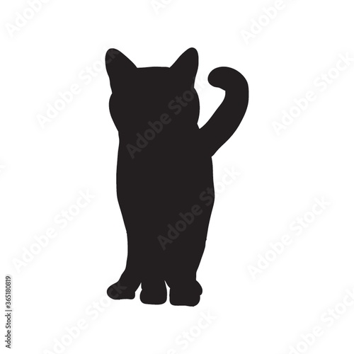 silhouette of a cat