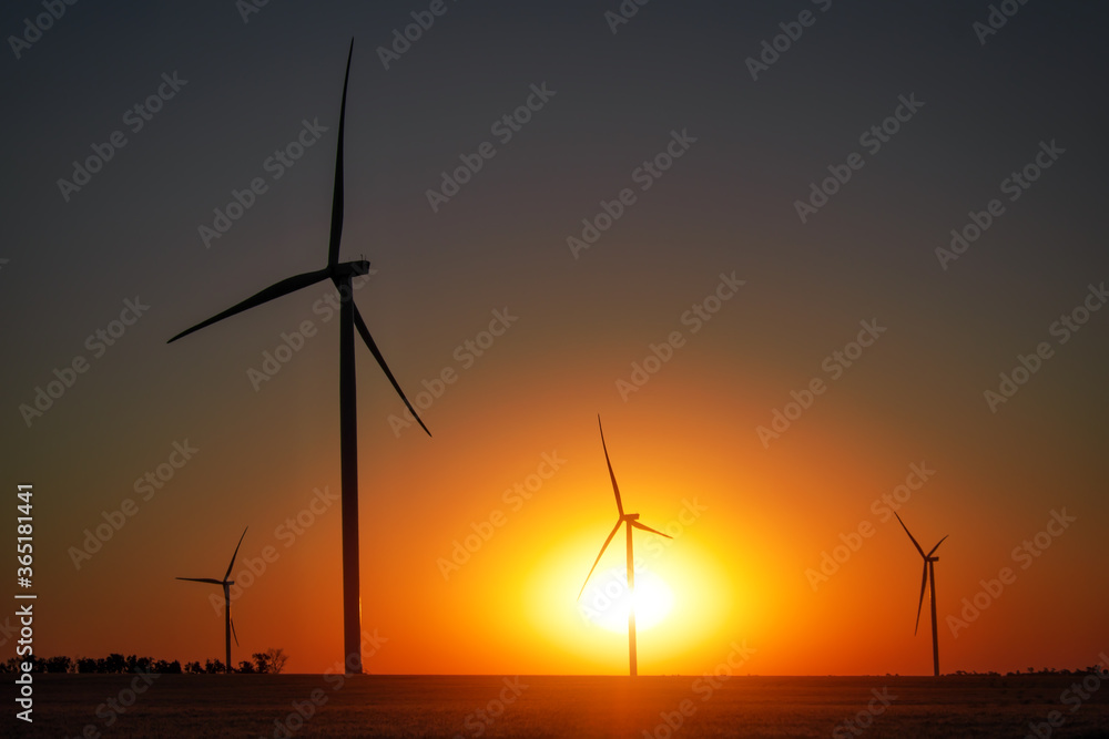 Obraz premium Wind turbines and agricultural field at sunset. Energy production, clean and renewable energy.