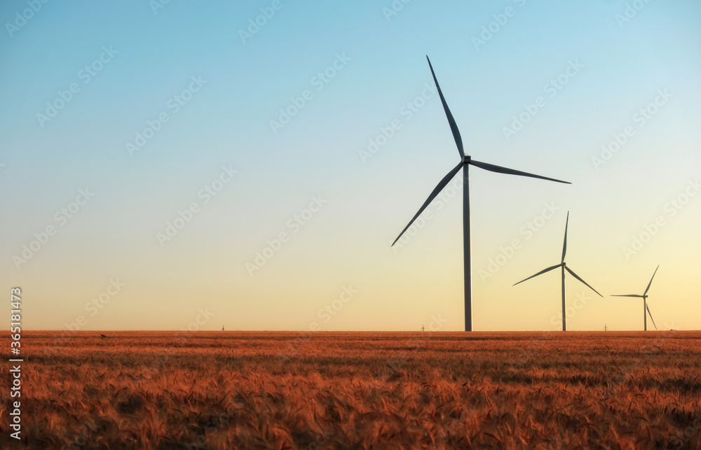 Wind turbines and agricultural field on a summer day. Energy production, clean and renewable energy. Wind turbines and agricultural field on a summer day. Energy production, clean and renewable energy.