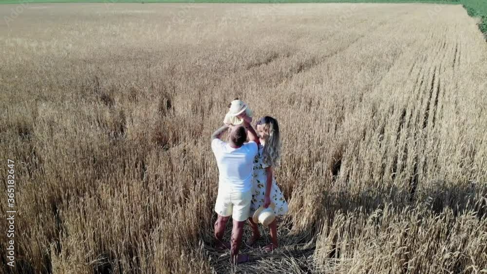 Family has fun and plays with their baby among wheat field. Family has fun and plays with their baby among wheat field.