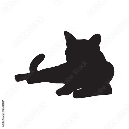 silhouette of a cat