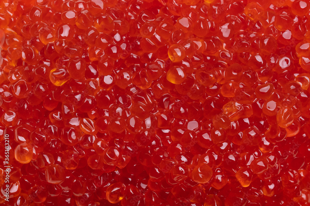 Seamless texture of red caviar, macro shot , selective focus Seamless texture of red caviar, macro shot , selective focus