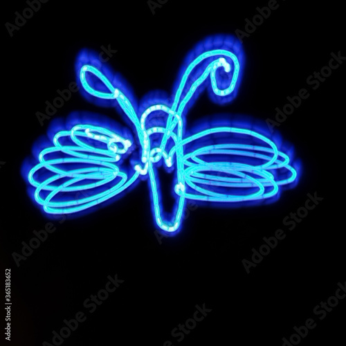 Light painting of a butterfly. Blue and white light combination against black background