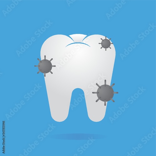 tooth with germs
