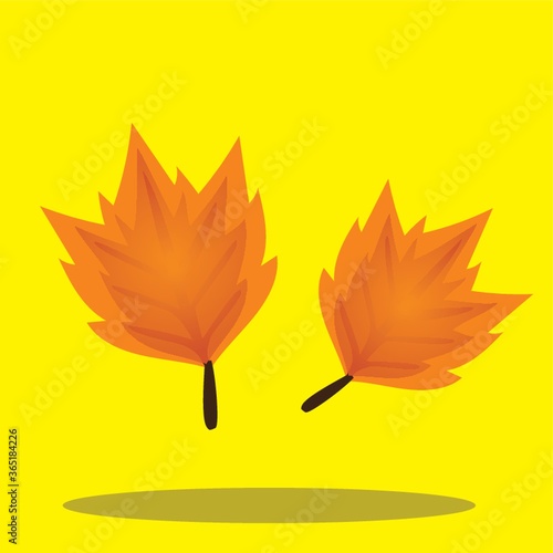 autumn leaves