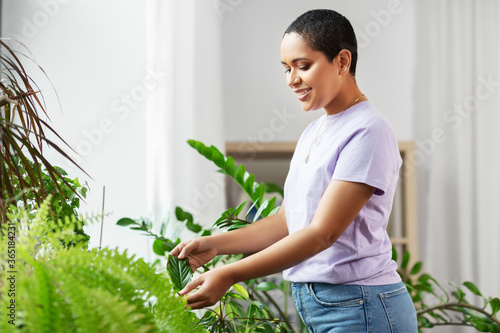 people, housekeeping and plants care concept - african american woman taking care of houseplants at home
