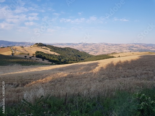 Agricoltura,fieno,orzo,paglia,fattoria,biologico,vegetazione,natura,