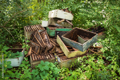 A close up image, showing the details of a discarded beekeeping hive, which is made of wood, that was found in a wooded area surrounded by green vegitation. 