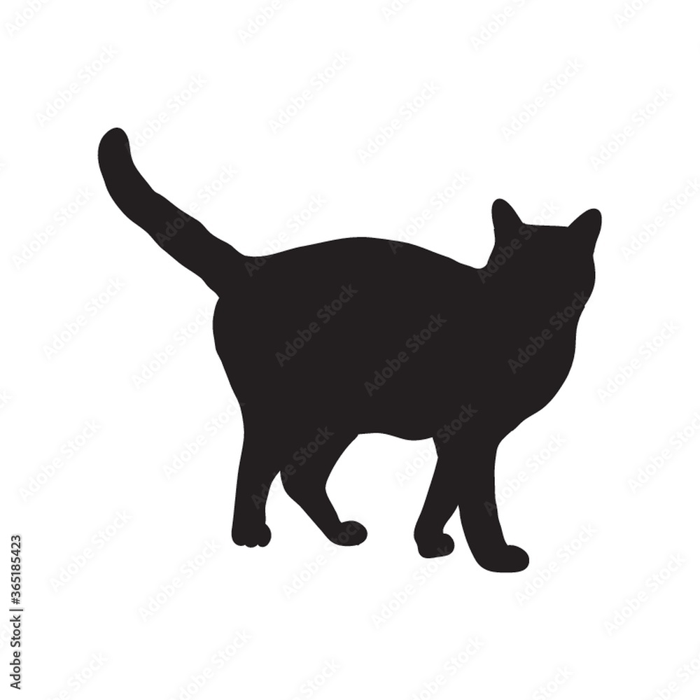 silhouette of a cat