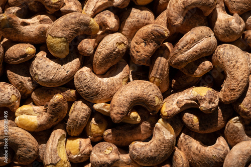 Roasted cashew nuts in shell, macro. Nutty background. Top view.